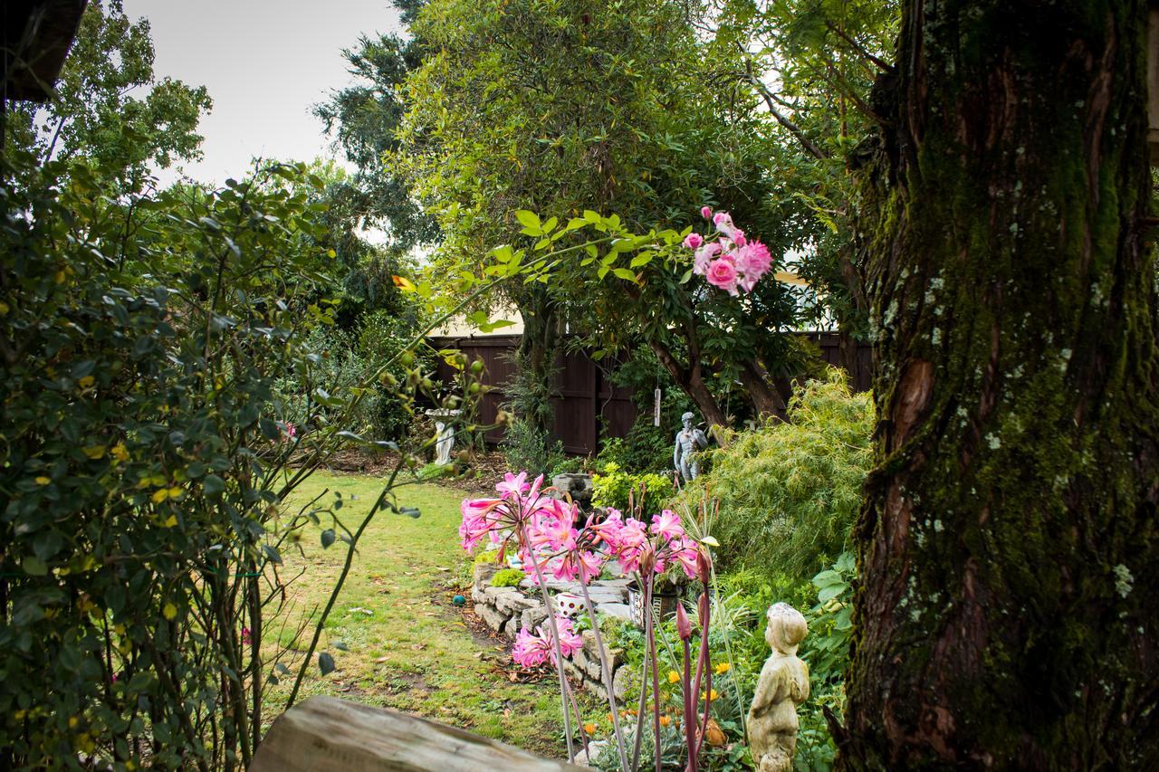 Holland House Bed & Breakfast Nelson Ngoại thất bức ảnh